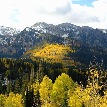 Cottonwood Heights - Lower Level Of Mountain Home! Bagian luar foto